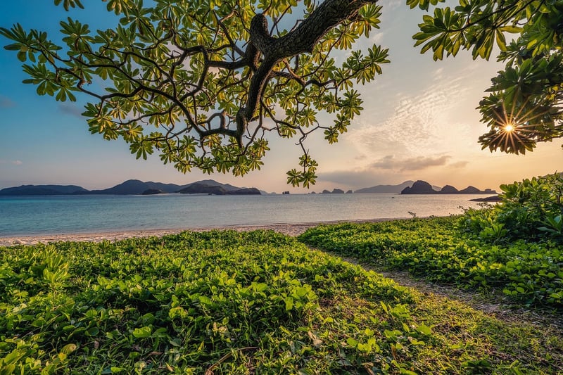 Nature landscape